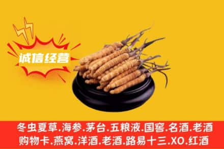 临湘市回收冬虫夏草